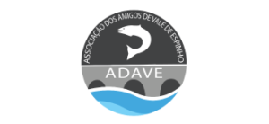 Associação dos amigos de vale de espinho